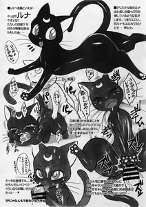 Page 21 of cat holic - preview thumbnail
