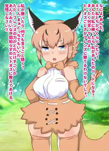 Defeat !! Pet Friends ⑪ Caracal - hentai manga cover image