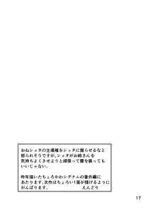 Page 17 of Signum Onee-san ga Anata-kun ni Oshieru Sex no Tehodoki - preview thumbnail