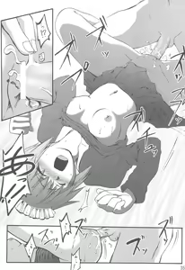 Page 37 of Homing Mode II - preview thumbnail