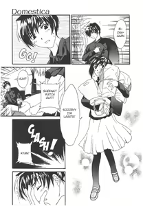 Page 3 of Domestica - preview thumbnail