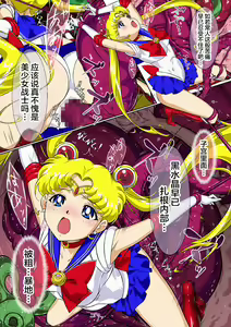 Page 19 of Sailor Moon Chu! - preview thumbnail