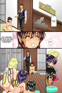 Page 51 of Meinu Top Breeder | Bitch Top Breeder - preview thumbnail