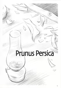 Page 7 of Prunus Persica - preview thumbnail