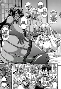 Page 16 of Elf Harem Monogatari - Elf Harem Story - preview thumbnail