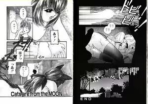 Page 58 of Hikagyaku Sei Hannou - preview thumbnail
