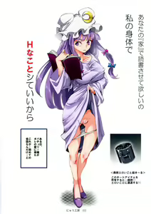 Page 21 of Totsuzen Gekiiki Patchouli-sama - preview thumbnail