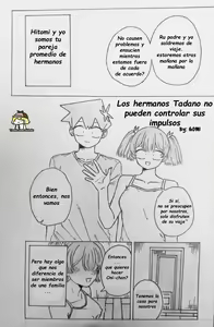 The Tadano Siblings Can't Control Their Urges — hentai manga cover on Fhentai