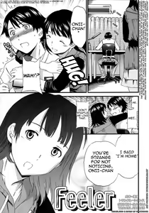 Feeler — hentai manga cover on Fhentai