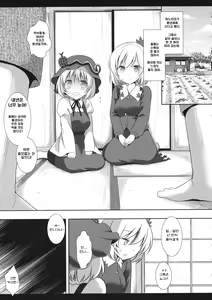 Page 4 of Touhou Ryoujoku 33 Aki Shimaidon | 동방 능욕 33 아키 자매덮밥 - preview thumbnail