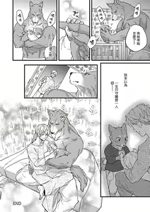 Page 240 of XL Size BL 01-10 - preview thumbnail