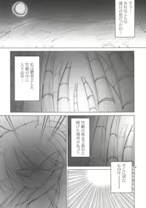Page 3 of Meikyou Shisui - preview thumbnail