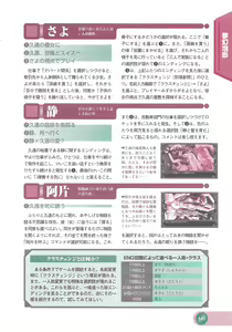 Page 143 of Official Alicesoft Full Completion Guide 2 - preview thumbnail