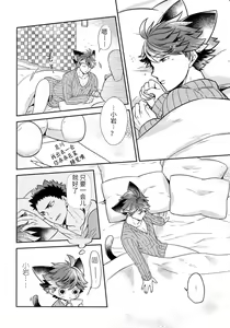 Page 5 of Iwa-chan no Neko ni Naritai 5 | 我想成为小岩的猫5 - preview thumbnail