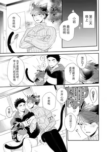 Page 34 of Iwa-chan no Neko ni Naritai 6 | 我想成为小岩的猫6 - preview thumbnail
