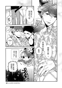 Page 8 of Iwa-chan no Neko ni Naritai 7 | 我想成为小岩的猫7 - preview thumbnail