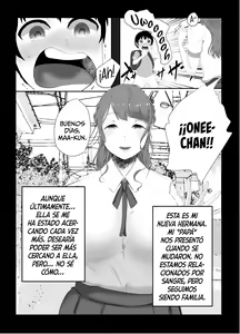 Page 3 of Onee-chan to no Kankei | La Relación con mi Hermana - preview thumbnail
