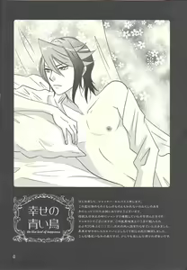 Page 3 of Shiawasenoaoitori - preview thumbnail