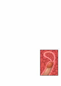Page 190 of I Shouldn't Have Brought a Female Magic Knight to an Ero Trap Dungeon! - preview thumbnail