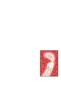 Page 191 of I Shouldn't Have Brought a Female Magic Knight to an Ero Trap Dungeon! - preview thumbnail