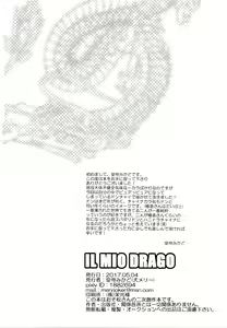 Page 45 of IL MIO DRAGO - preview thumbnail