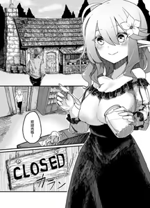 Page 3 of Elf o Okasu Hon 2 - preview thumbnail