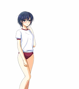 Page 252 of Chikan Senyou Sharyou 2 HD - preview thumbnail