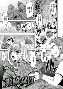 姬騎雙貫 — hentai manga cover on Fhentai