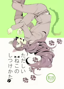 Tadashii ne Kono Shitsuke Kata — hentai manga cover on Fhentai