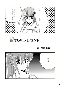 Page 17 of Mahou Shoujo Lyrical Nanoha Adult Stage 02 - preview thumbnail