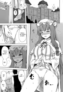Page 2 of Patchouli Knowledge Kaihatsu Kiroku Ⅱ | 파츄리 널릿지의 쾌발기록 Ⅱ - preview thumbnail