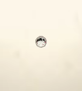Page 182 of Ci-en/Fantia有料配信バックナンバー2021年01月-2021年05月版 - preview thumbnail