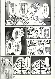 Page 3 of Present - preview thumbnail