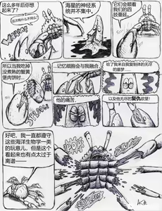 Page 6 of 比奇堡恐怖故事（派大星的复仇） 全集 - preview thumbnail