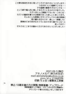 Page 14 of Yopparai Ane-kun no Fudeoroshi - preview thumbnail