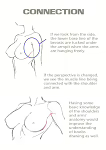 Page 7 of Basic Guideline to Boobs - preview thumbnail
