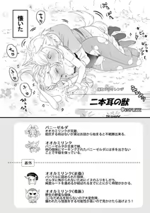 Page 10 of Rinzeru log 4 - preview thumbnail