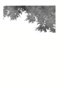 Page 36 of Hiwa - preview thumbnail