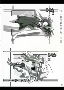 Page 29 of ISSS. - preview thumbnail