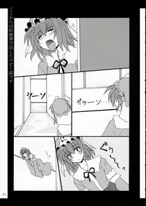 Page 30 of ISSS. - preview thumbnail