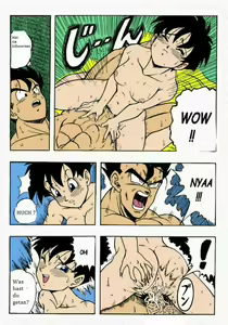Page 19 of Dragonball H - preview thumbnail