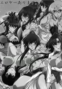Page 24 of SPIRAL ZONE DxD II - preview thumbnail