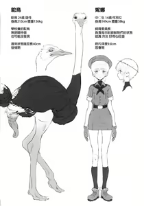Page 2 of Tori no Kimochi Ii  - OSTRICH'S PENIS (decensored) - preview thumbnail