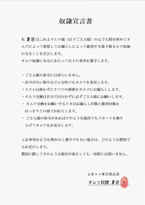 Page 11 of FANBOX summary illustration collection 2 - preview thumbnail