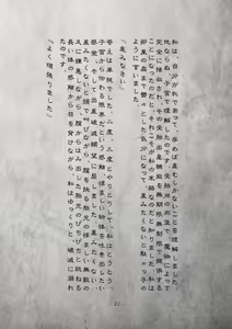 Page 23 of Monhin Junkai Gurphobia ~Aru Shoujo Shinkan no Ishu Shussan Jigoku~ Novel part - preview thumbnail