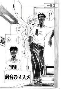 Page 152 of VAVA - preview thumbnail