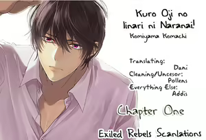 Page 176 of Kuro Ouji no Iinari ni Naranai! | I Won't Give In To The Black Prince! (decensored) - preview thumbnail