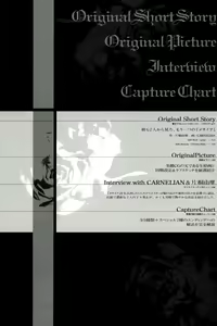 Page 116 of Trinity - Messiah Visualbook - preview thumbnail