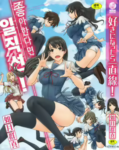 Suki ni Nattara Icchokusen!  좋아한다면 일직선! — hentai manga cover on Fhentai