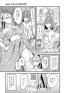 Page 33 of Elf ga Joou-sama! 1 - preview thumbnail